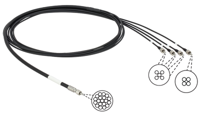 Thorlabs多模环形光纤束电缆：SMA到SMA