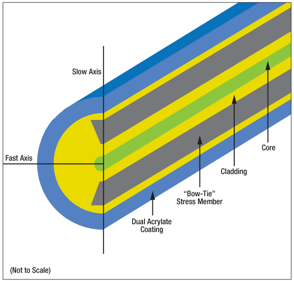 领结型保偏光纤剖面图