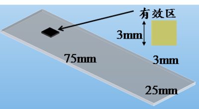 T-SERS银纳米表面增强拉曼芯片